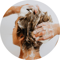 Shampoo